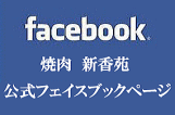 Vfacebooky[W